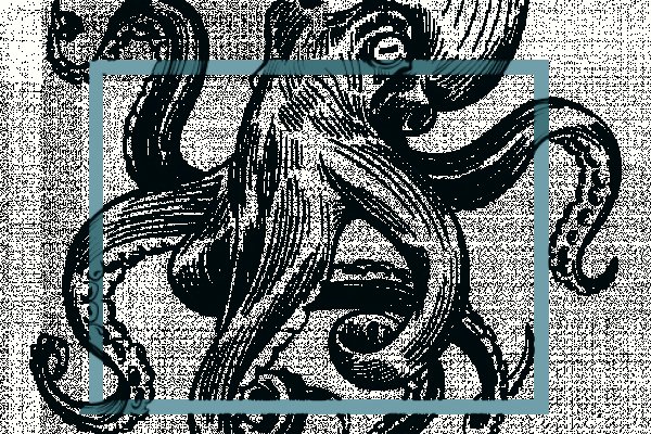 Kraken dark market